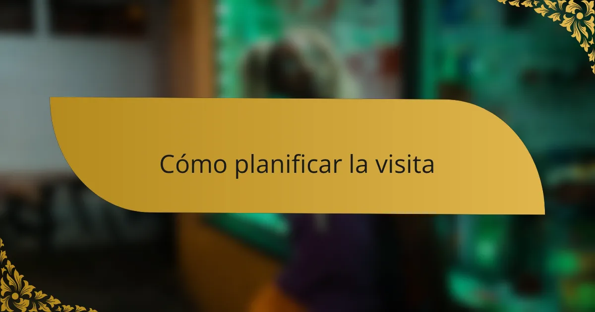 Cómo planificar la visita