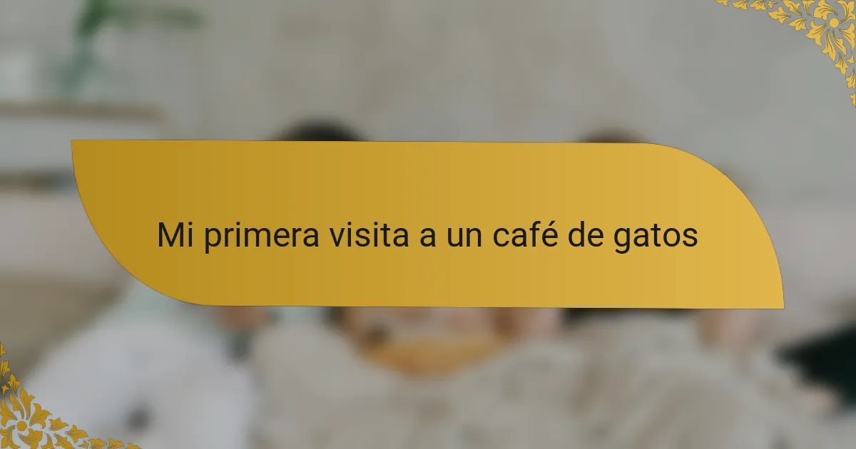 Mi primera visita a un café de gatos